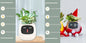 Vaso Inteligente com Expressões e Sensores – Mais de 49 Expressões, 7 Sensores Inteligentes e Chip de IA, Tornando o Cultivo de Plantas Mais Fácil e Divertido