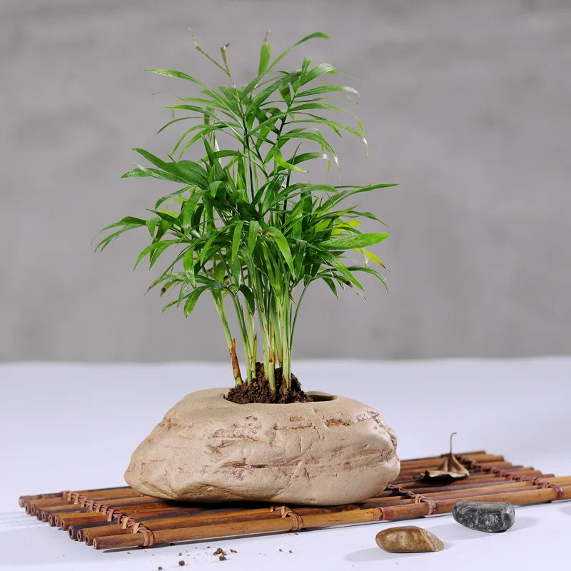 Vaso Cerâmica Stoneware para Suculentas - Design Artesanal Padrão Pedra Vintage
