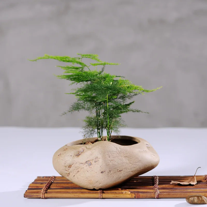 Vaso Cerâmica Stoneware para Suculentas - Design Artesanal Padrão Pedra Vintage