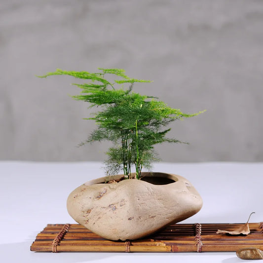 Vaso Cerâmica Stoneware para Suculentas - Design Artesanal Padrão Pedra Vintage