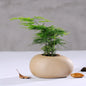 Vaso Cerâmica Stoneware para Suculentas - Design Artesanal Padrão Pedra Vintage