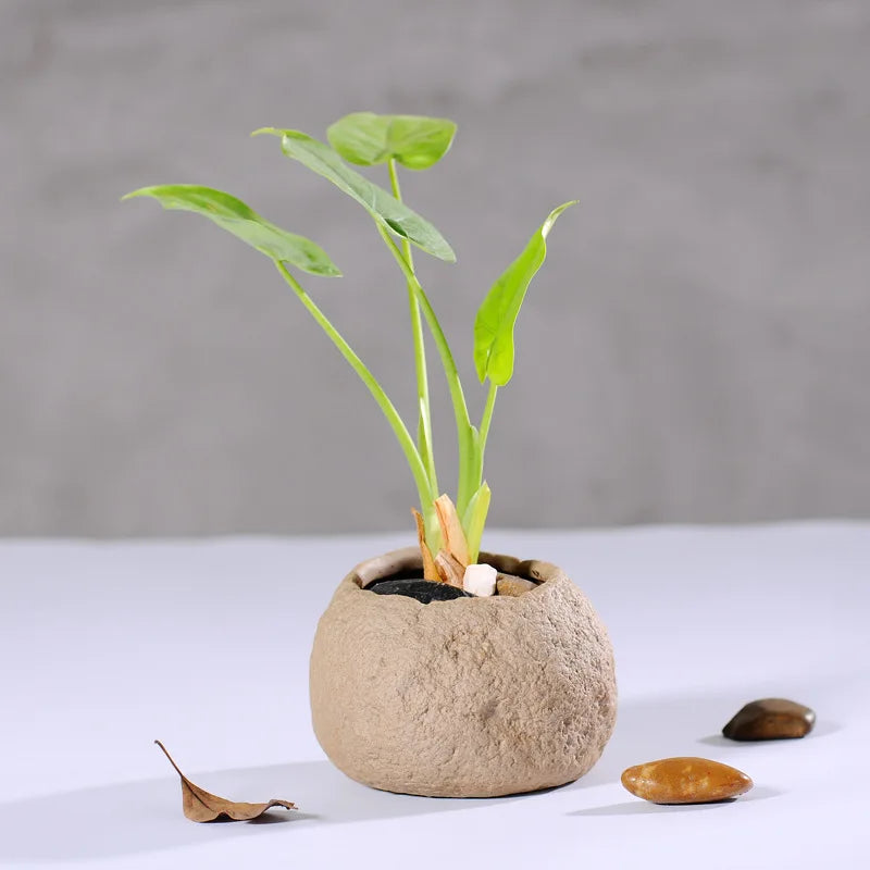 Vaso Cerâmica Stoneware para Suculentas - Design Artesanal Padrão Pedra Vintage