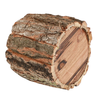 Cachepô de Madeira Casca Natural Rústico | Vaso Decorativo para Plantas