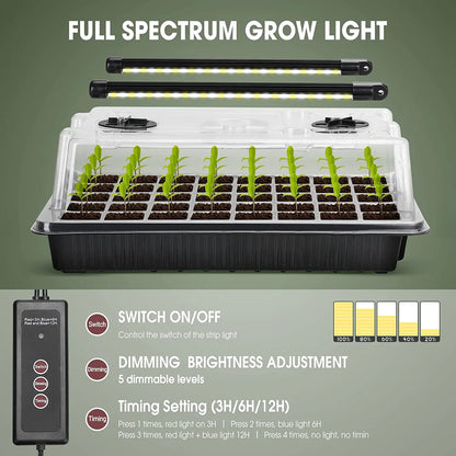 Kit Germinador 40 Células com 2 Luzes LED Crescimento – Cúpula Humidade Ajustável | Jardim Interior