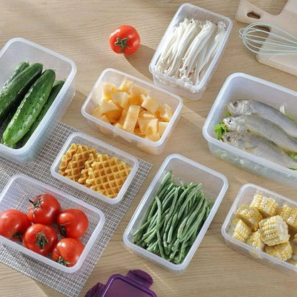 Caixas para Frigorífico com Tampa | Recipientes Herméticos para Conservação de Alimentos
