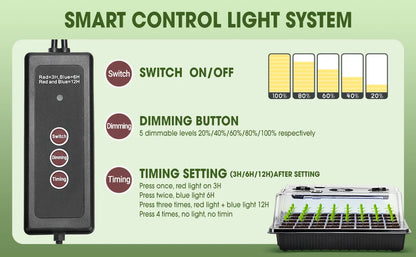 Kit Germinador 40 Células com 2 Luzes LED Crescimento – Cúpula Humidade Ajustável | Jardim Interior