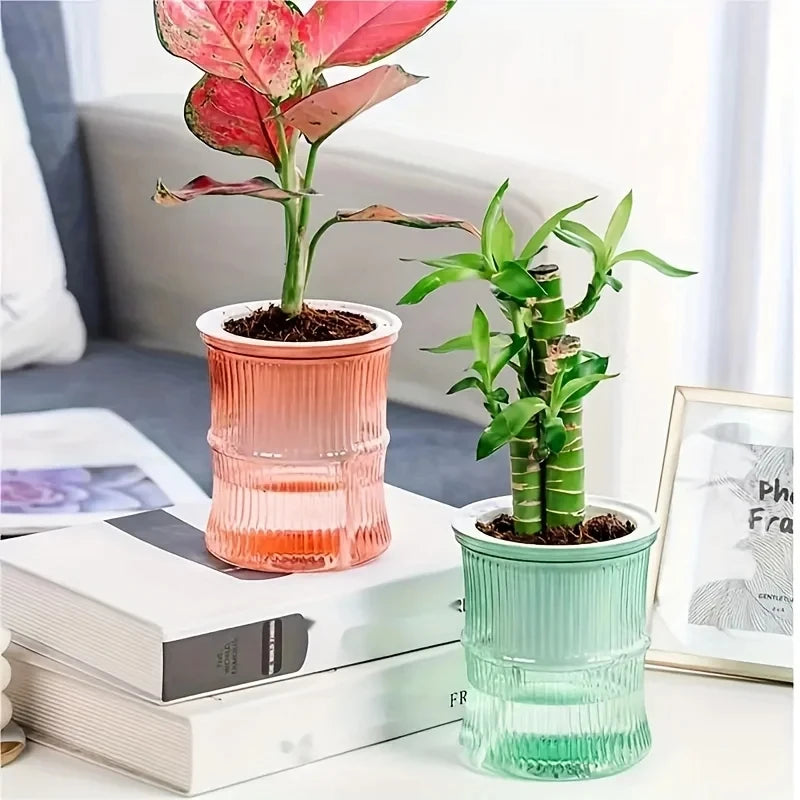 Vaso Hidropónico com Auto-Rega – Floreira Dupla Camada Transparente | Escritório e Casa