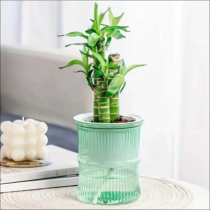 Vaso Hidropónico com Auto-Rega – Floreira Dupla Camada Transparente | Escritório e Casa