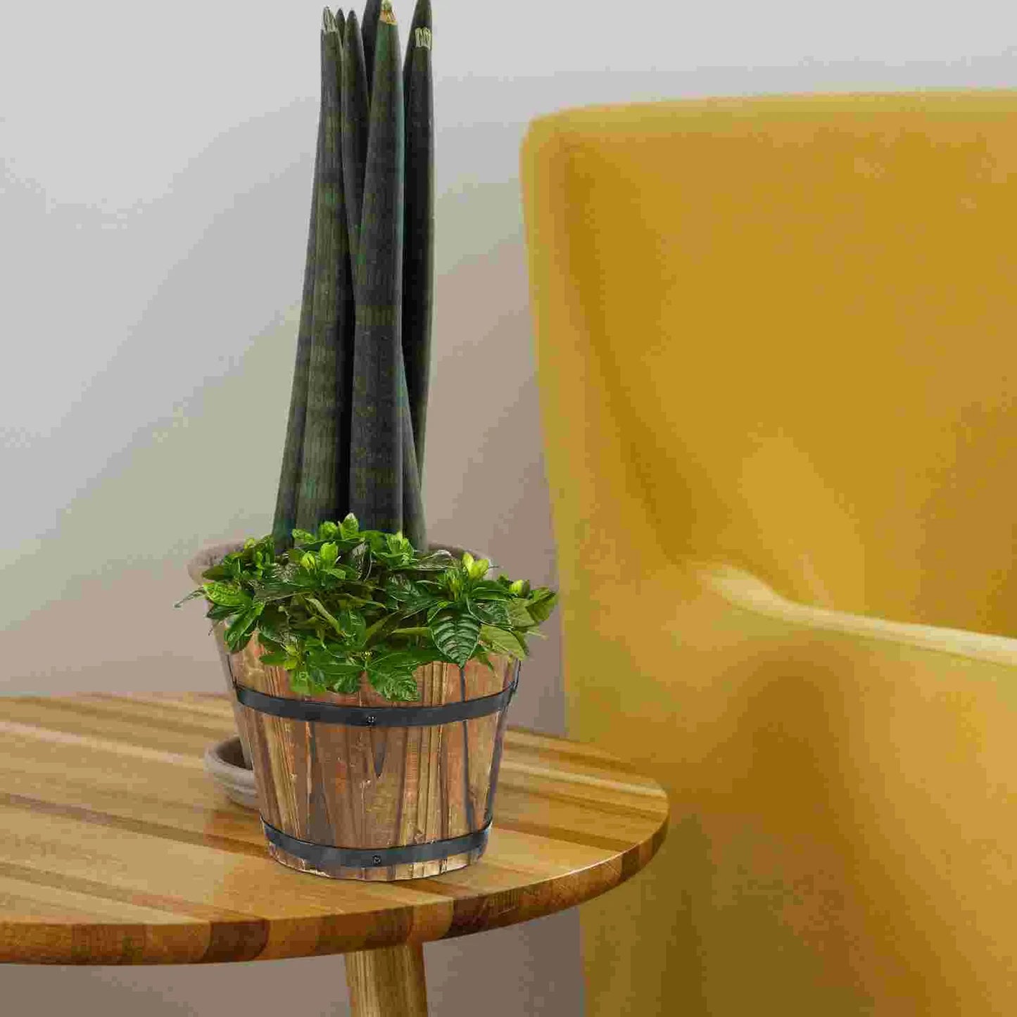 Balde de Madeira Rústico | Vaso Decorativo para Flores e Suculentas