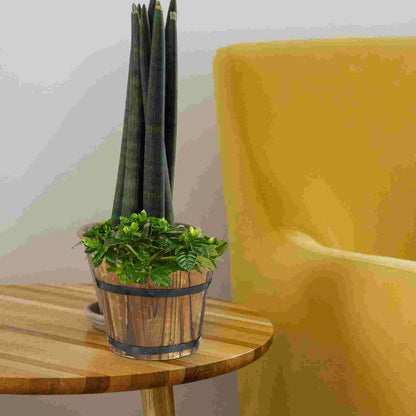Balde de Madeira Rústico | Vaso Decorativo para Flores e Suculentas