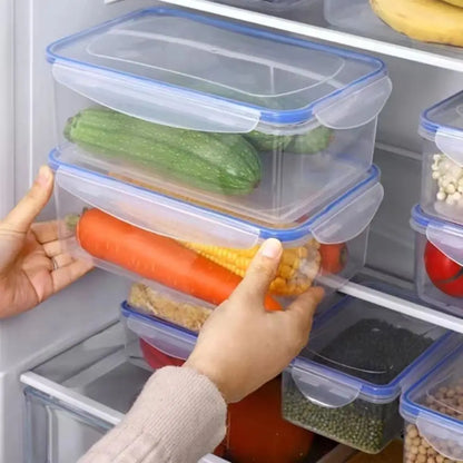 Caixas para Frigorífico com Tampa | Recipientes Herméticos para Conservação de Alimentos