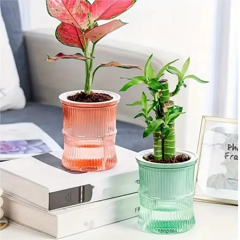 Vaso Hidropónico com Auto-Rega – Floreira Dupla Camada Transparente | Escritório e Casa