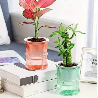 Vaso Hidropónico com Auto-Rega – Floreira Dupla Camada Transparente | Escritório e Casa