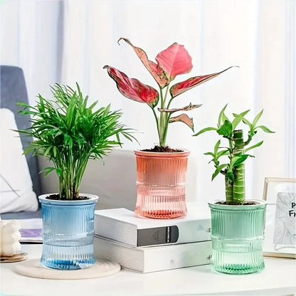 Vaso Hidropónico com Auto-Rega – Floreira Dupla Camada Transparente | Escritório e Casa