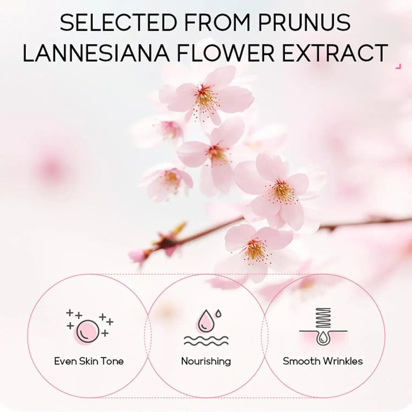 Kit Cuidados Pele Sakura 24 Peças – Máscaras Olhos Lábios Sérum Limpeza Tónico Essência Creme Hidratante