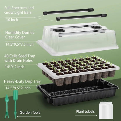 Kit Germinador 40 Células com 2 Luzes LED Crescimento – Cúpula Humidade Ajustável | Jardim Interior
