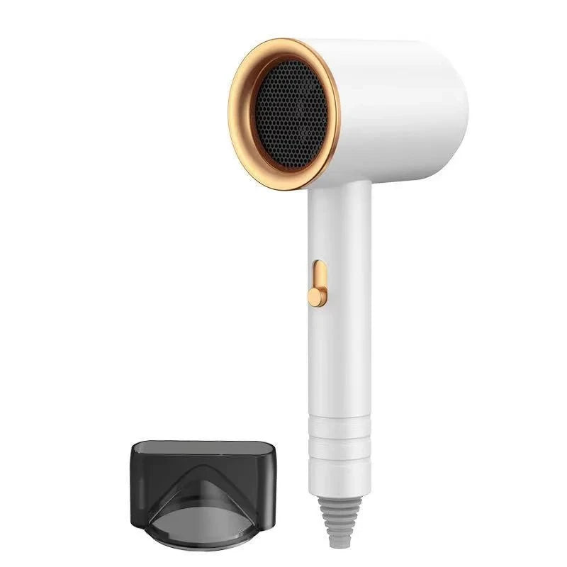 Secador de Cabelo Profissional Iónico Portátil