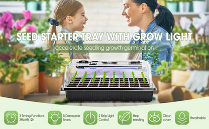 Kit Germinador 40 Células com 2 Luzes LED Crescimento – Cúpula Humidade Ajustável | Jardim Interior