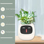 Vaso Inteligente com Expressões e Sensores – Mais de 49 Expressões, 7 Sensores Inteligentes e Chip de IA, Tornando o Cultivo de Plantas Mais Fácil e Divertido