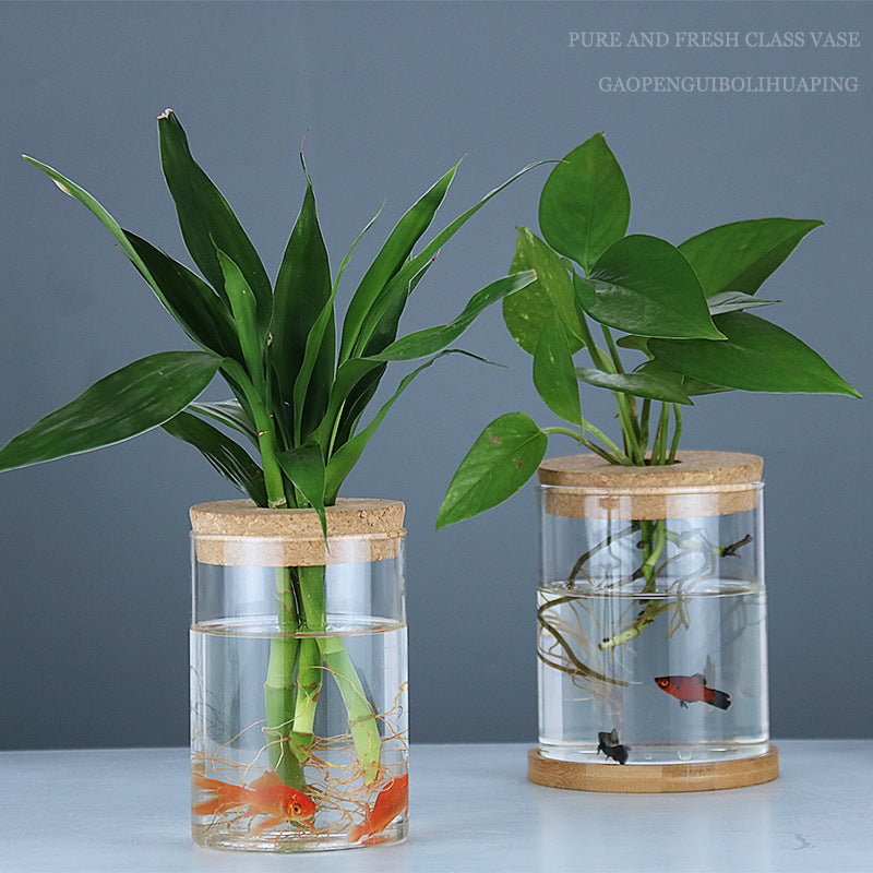 Garrafa de Vidro Decorativa para Plantas Hidropônicas – Decoração com Plantas Verdes Internas