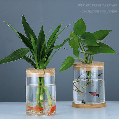 Garrafa de Vidro Decorativa para Plantas Hidropônicas – Decoração com Plantas Verdes Internas