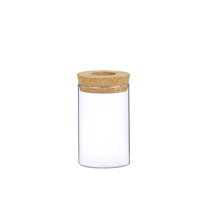 Garrafa de Vidro Decorativa para Plantas Hidropônicas – Decoração com Plantas Verdes Internas