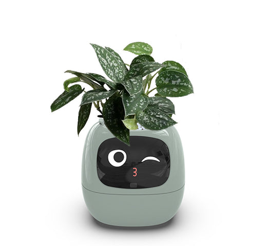 Vaso Inteligente com Expressões e Sensores – Mais de 49 Expressões, 7 Sensores Inteligentes e Chip de IA, Tornando o Cultivo de Plantas Mais Fácil e Divertido