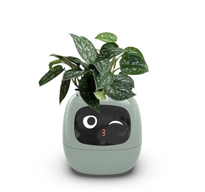 Vaso Inteligente com Expressões e Sensores – Mais de 49 Expressões, 7 Sensores Inteligentes e Chip de IA, Tornando o Cultivo de Plantas Mais Fácil e Divertido